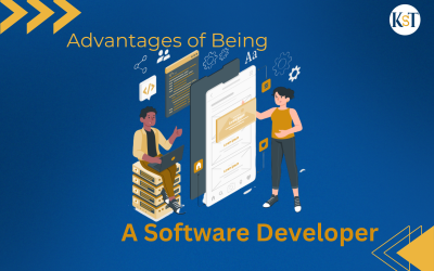Advantages Of Being A Software Developer